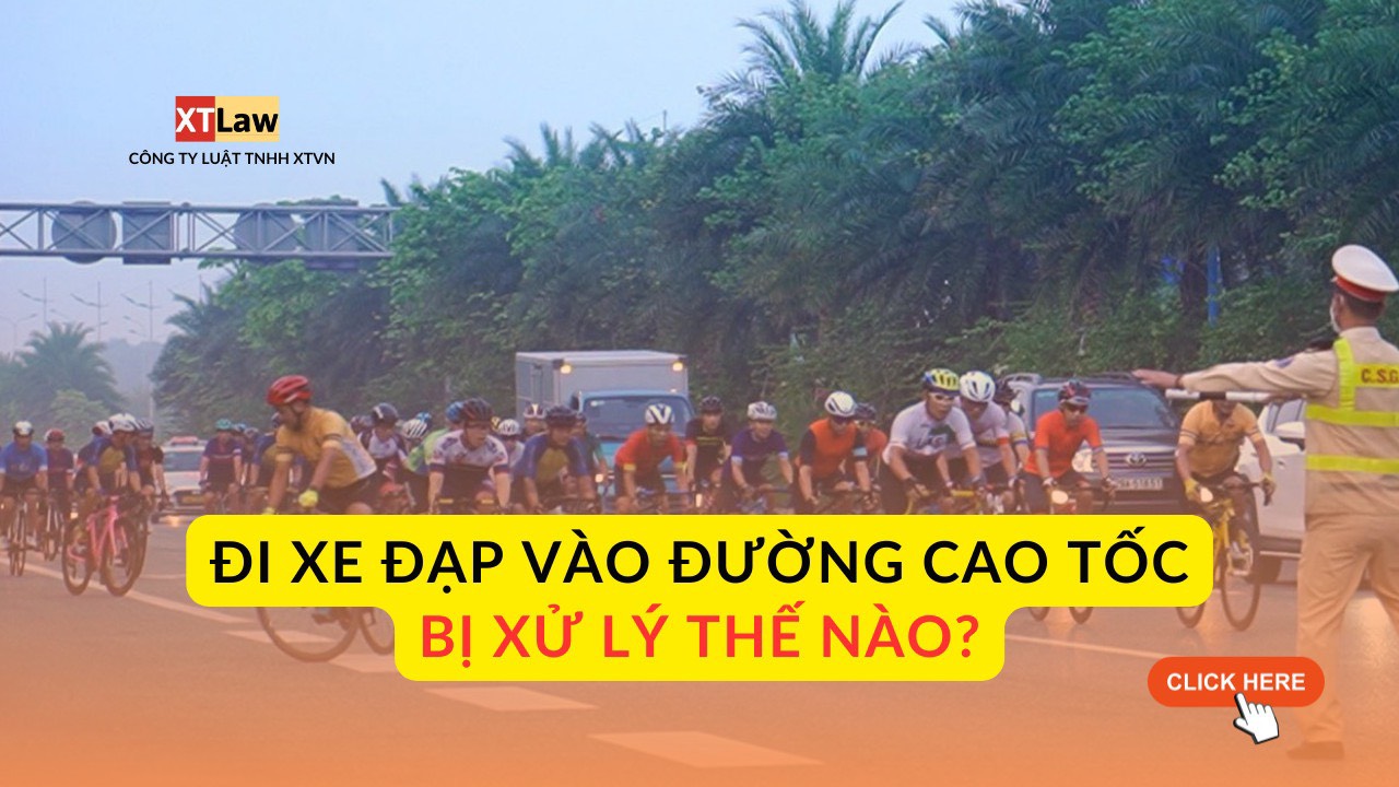 Đi xe đạp vào đường cáo tốc bị xử lý thế nào?