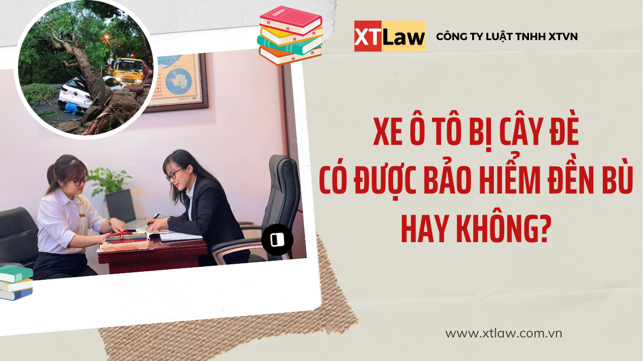 Xe ô tô bị cây đè có được bảo hiểm đền bù hay không?