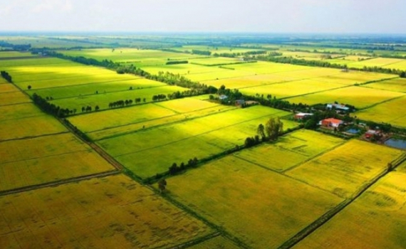 Mẫu số: 03/SDDNN - Tờ khai thuế sử dụng đất nông nghiệp