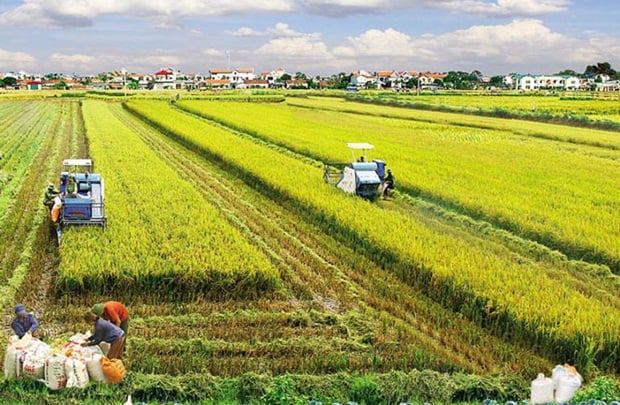 Mẫu số: 01/SDDNN - Tờ khai thuế sử dụng đất nông nghiệp